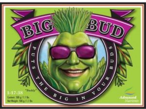 advanced nutrients Big Bud